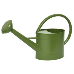 Decoris Gieter - Groen - Zink - 5 L
