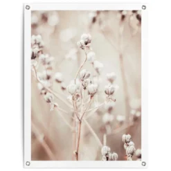 Tuinposter Gedroogde Tak 80x60 Cm Beige