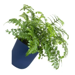 QUVIO Wand Bloempot Plastic - Donker Blauw - POPPY