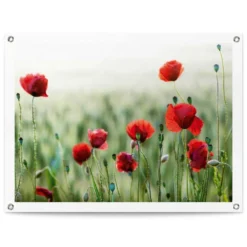 Tuinposter Wilde Klaprozen 60x80 Cm Rood