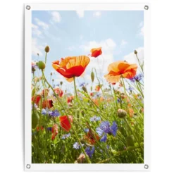 Tuinposter Bloemenveld 80x60 Cm Bont