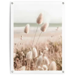Tuinposter Grasses 80x60 Cm Beige