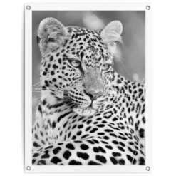 Tuinposter Luipaard 80x60 Cm Zwart-Wit