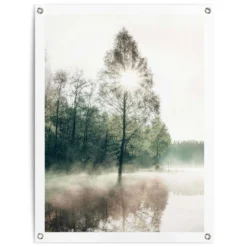 Tuinposter Zon Door De Bomen 80x60 Cm Groen