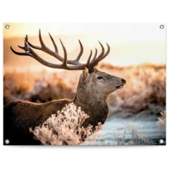 Tuinposter Hert 60x80 Cm Bruin