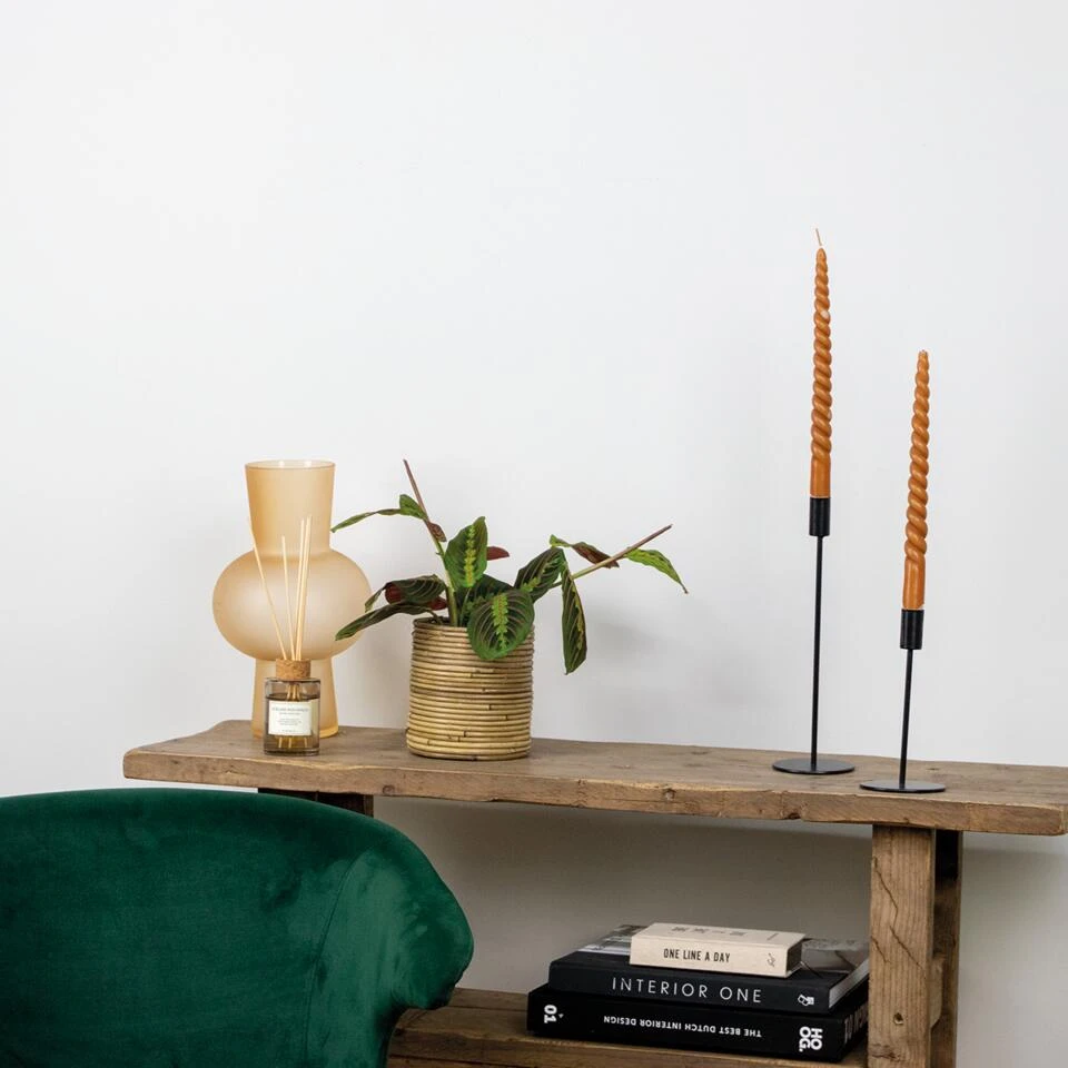 Maranta Tricolor – Gebedsplant – ⌀12cm –↕10-15 Cm - Afbeelding 4