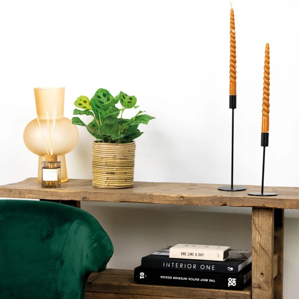 Maranta 'Kerchoveana'– Gebedsplant – ⌀12cm –↕10-15cm - Afbeelding 4