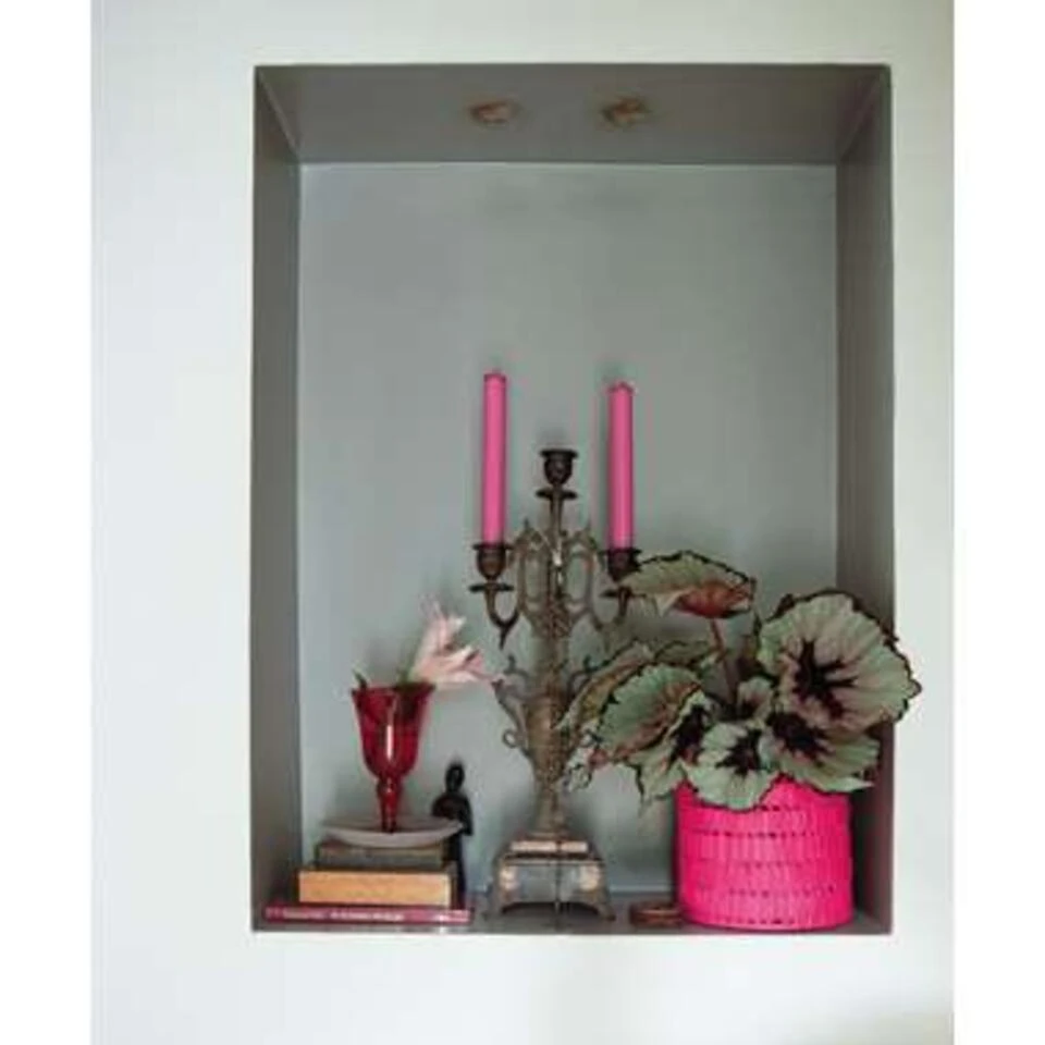 6x Begonia Beleaf Mix β Bladbegonia β β12 Cm - β20-25 Cm - Afbeelding 2