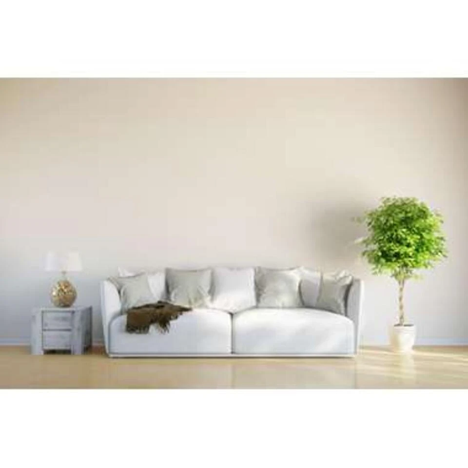 Pachira Aquatica - Geldboom - β19 Cm - β75-85 Cm - Afbeelding 2